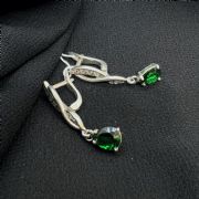 Earrings 2266