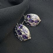 Earrings 3039