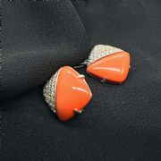 Earrings 2455