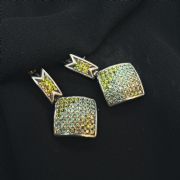 Earrings 334