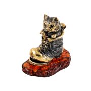 Cat in a shoe