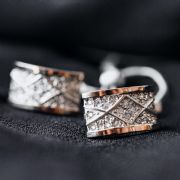 Earrings 692