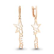 Earrings 36109