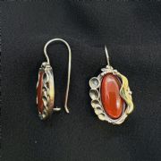 Earrings 193195