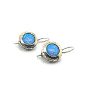 Earrings 71002