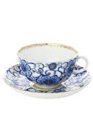 Tea cup with saucer  Tulip Winding twig