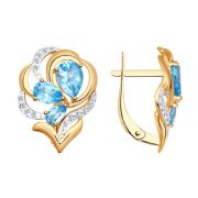 Earrings 12725034