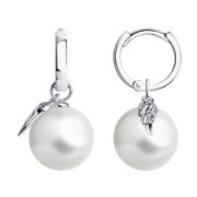 Earrings 94025023
