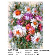 Asters  Painting by numbers