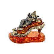 Cat on a shoe