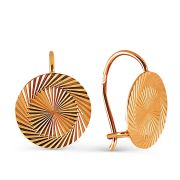 Earrings 0024785