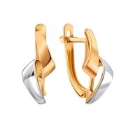 Earrings 002B246