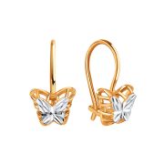 Earrings 062199