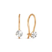 Earrings 0627307