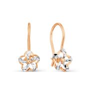 Earrings 0629018