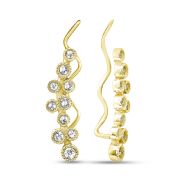 Earrings  1174