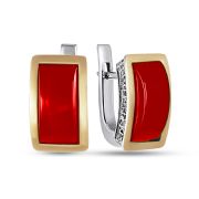 Earrings  1193