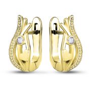 Earrings 1466