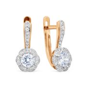 Earrings 147029908