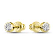 Earrings 1654