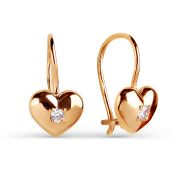 Earrings 2025446