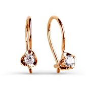 Earrings 2025449