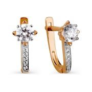 Earrings 2025804