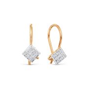 Earrings 2027300