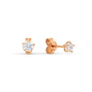Earrings 2028264