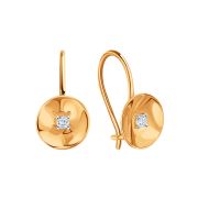 Earrings 202B201
