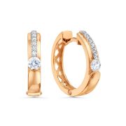 Earrings 202B478