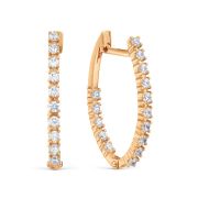 Earrings 202B479
