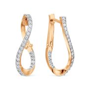 Earrings 202B481