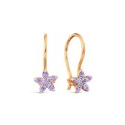 Earrings 202B930-04