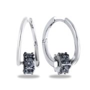 Earrings  2139