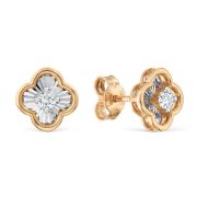 Earrings 262B223