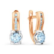 Earrings 3028892