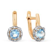 Earrings 302B255