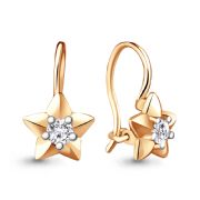 Earrings 438931
