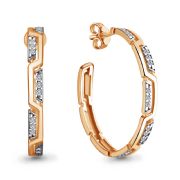 Earrings 49078