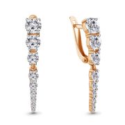 Earrings 49451