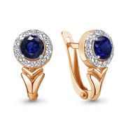 Earrings 49461