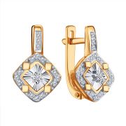 Earrings 562560
