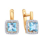 Earrings 7027885