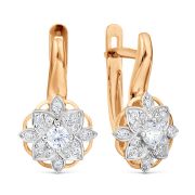 Earrings 7029907