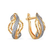 Earrings 7627625