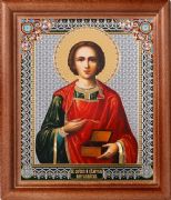 Icon Panteleimon