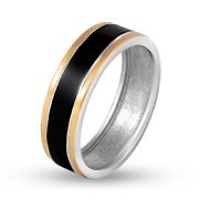 Ring 1661