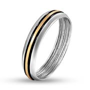 Ring 1663