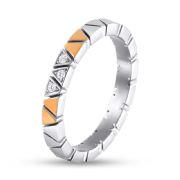 Ring 2013